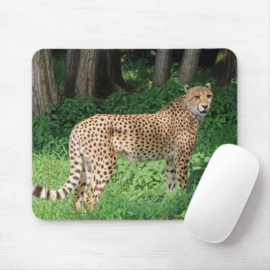 Gepard Mousepad (Mit Mouse)