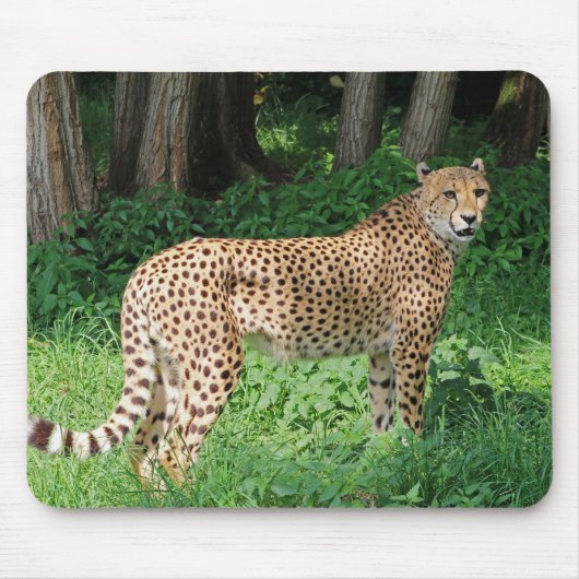 Gepard Mousepad (Vorne)