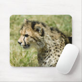Gepard Mousepad (Mit Mouse)