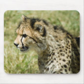Gepard Mousepad (Vorne)