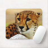 Gepard Mousepad (Mit Mouse)