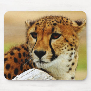 Gepard Mousepad