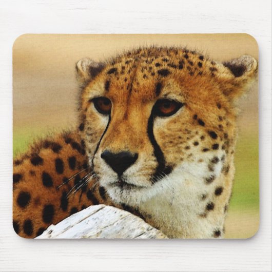 Gepard Mousepad (Vorne)