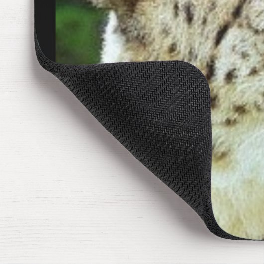 Gepard Mousepad (Ecke)