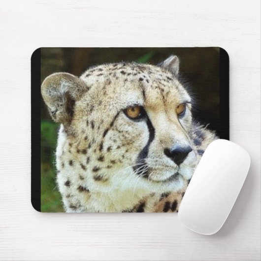 Gepard Mousepad (Mit Mouse)