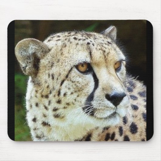 Gepard Mousepad (Vorne)