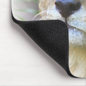Gepard Mousepad (Ecke)