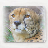 Gepard Mousepad (Vorne)