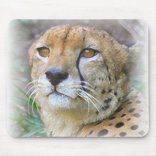 Gepard Mousepad (Vorne)