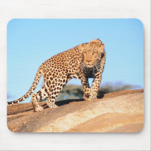 Gepard Mousepad
