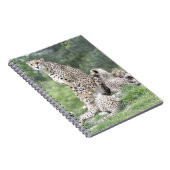 Gepard Notizblock (Rechte Seite)