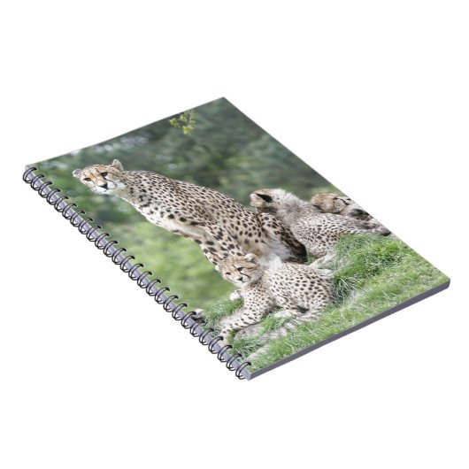 Gepard Notizblock (Rechte Seite)