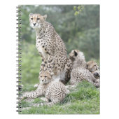 Gepard Notizblock (Vorderseite)