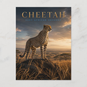 Gepard ostafrikanische Savanne TIERKUNST Postkarte