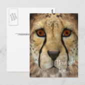 Gepard Postkarte (Vorne/Hinten)