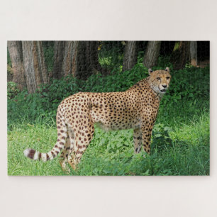 Gepard Puzzle