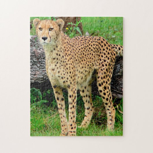 Gepard-Puzzle Puzzle (Vertikal)