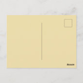 Gepard ruht in sonnendurchflutetem Raum Postkarte (Rückseite)
