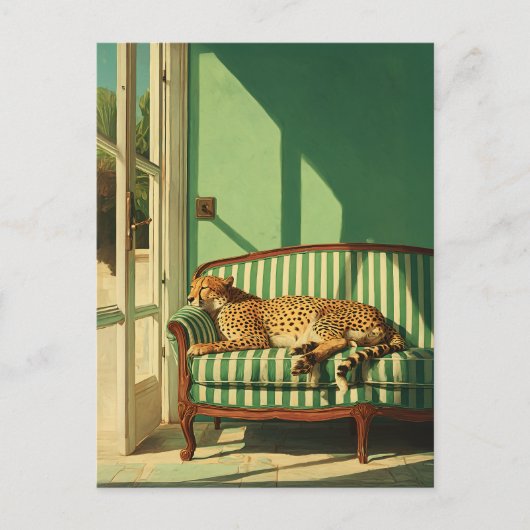 Gepard ruht in sonnendurchflutetem Raum Postkarte (Vorderseite)