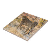 Gepard schaut sich um fliese (Seite)