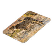 Gepard schaut sich um magnet (Linke Seite)