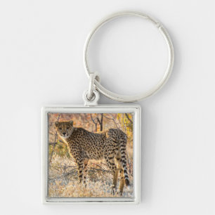 Gepard schaut sich um schlüsselanhänger