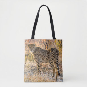 Gepard schaut sich um tasche