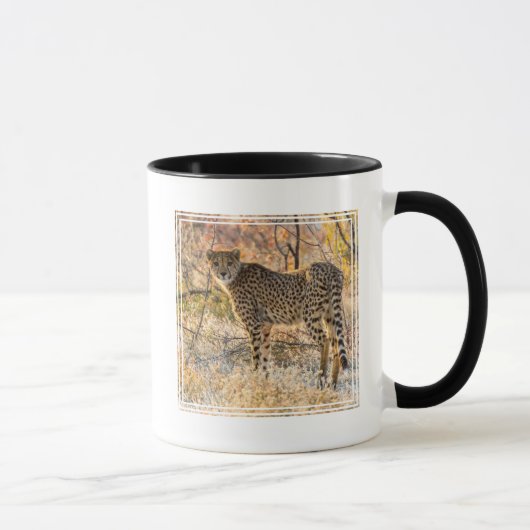 Gepard schaut sich um tasse (Rechts)