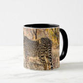 Gepard schaut sich um tasse (VorderseiteRechts)