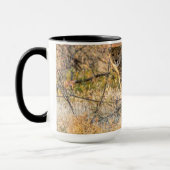 Gepard schaut sich um tasse (Links)