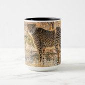 Gepard schaut sich um tasse (Zentrum)