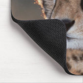 Gepard schaut weg mousepad (Ecke)