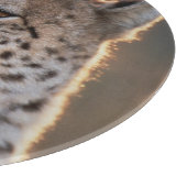 Gepard schaut weg schneidebrett (Ecke)