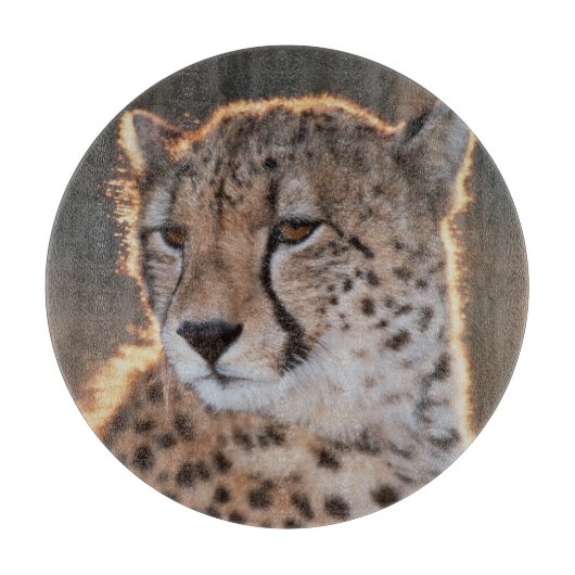 Gepard schaut weg schneidebrett (Vorderseite)