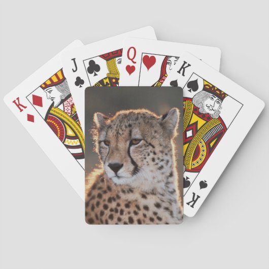 Gepard schaut weg spielkarten (Rückseite)