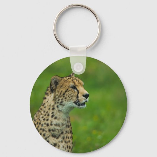 Gepard Schlüsselanhänger (Vorderseite)
