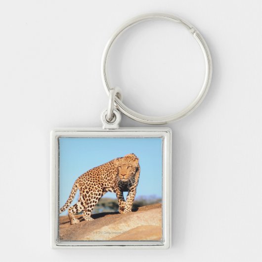 Gepard Schlüsselanhänger (Vorne)