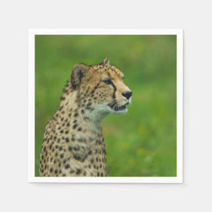 Gepard Serviette