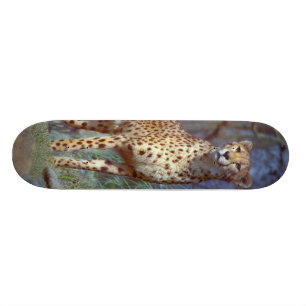 Gepard-Skateboard Skateboard