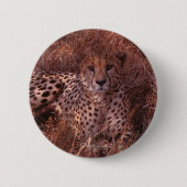 Gepard-Starren Button (Vorderseite)
