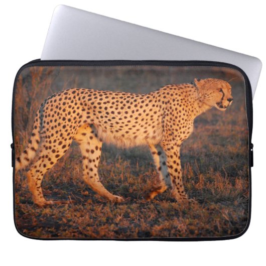 Gepard Südafrika am Sonnenuntergang Laptopschutzhülle (Vorderseite)
