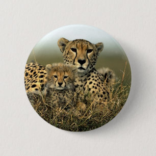 Gepard und CUB Button