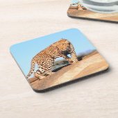 Gepard Untersetzer (Linke Seite)