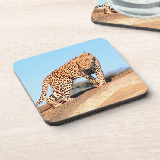 Gepard Untersetzer (Linke Seite)