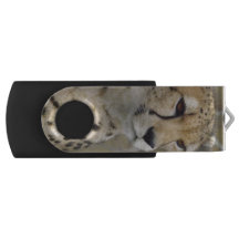 Gepard USB-Blitz-Antrieb