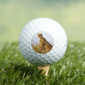 Gepard-Wildtier Big Cat Foto Golfball (Insitu T-Shirt)