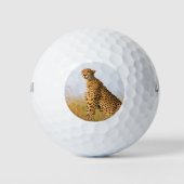 Gepard-Wildtier Big Cat Foto Golfball (Vorderseite)