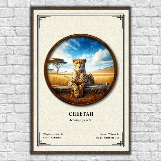 Gepard-Zoologie-Serie Poster