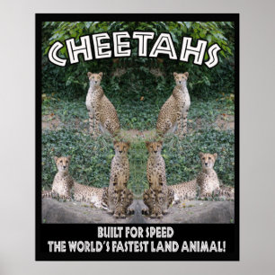 GEPARDE - ERRICHTET FÜR GESCHWINDIGKEIT POSTER