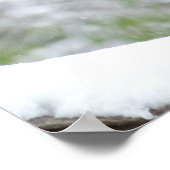 Geparde im Schnee Poster (Ecke)